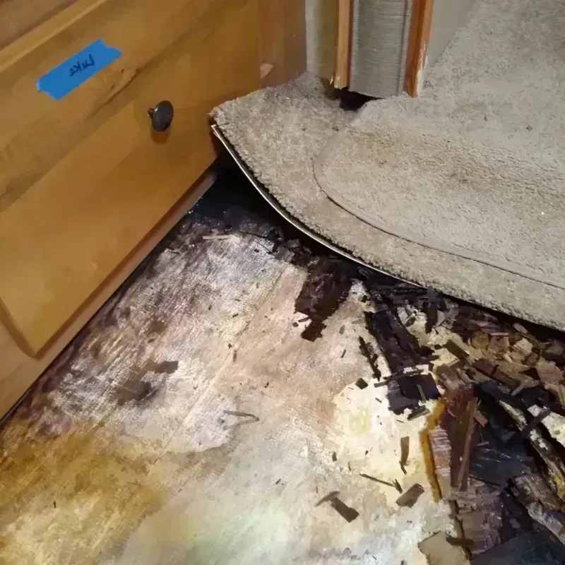 Wood Floor Water Damage in Hidden Meadows, CA